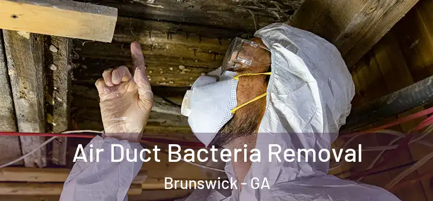  Air Duct Bacteria Removal Brunswick - GA