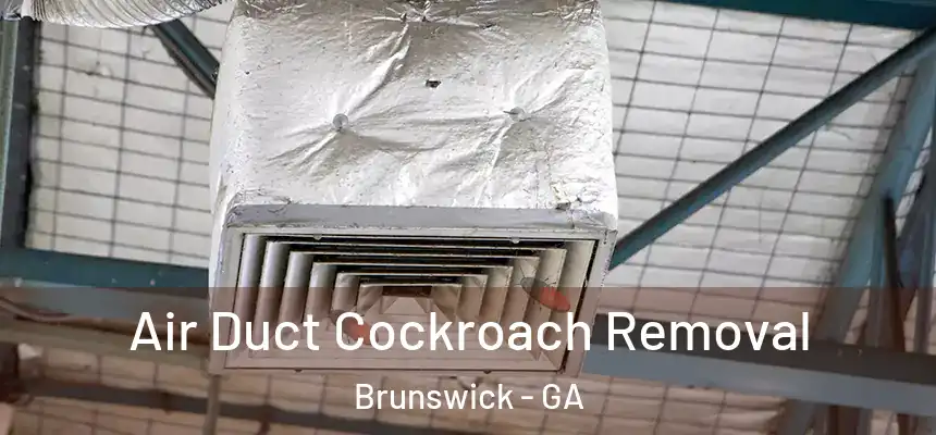  Air Duct Cockroach Removal Brunswick - GA