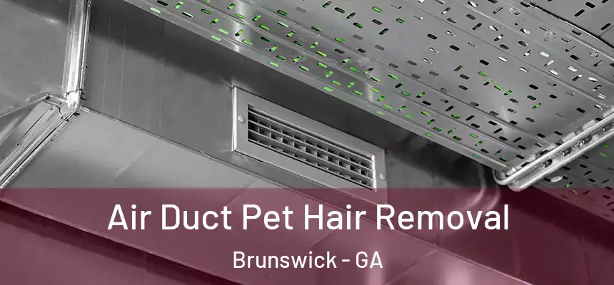  Air Duct Pet Hair Removal Brunswick - GA
