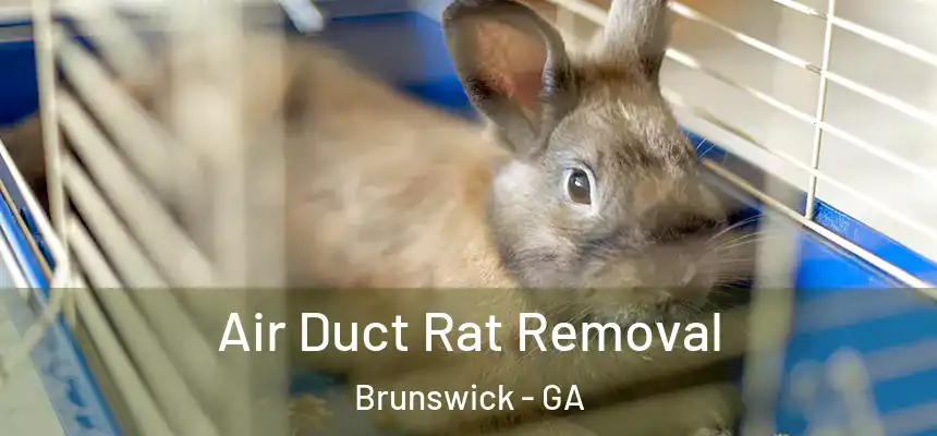  Air Duct Rat Removal Brunswick - GA