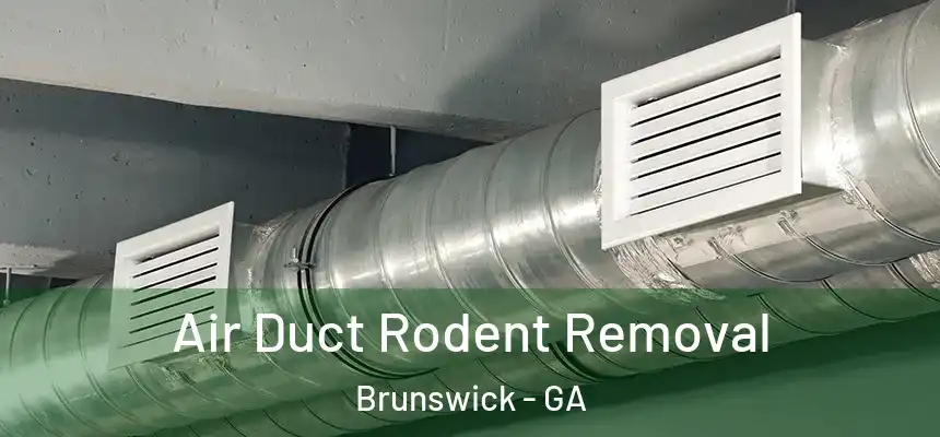  Air Duct Rodent Removal Brunswick - GA