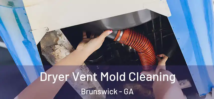  Dryer Vent Mold Cleaning Brunswick - GA