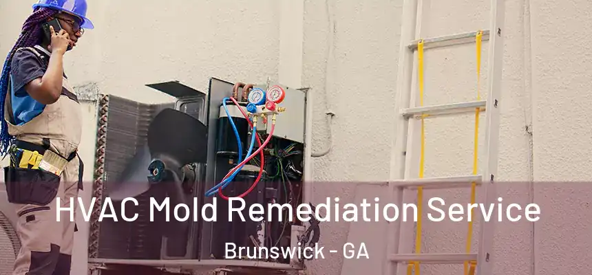 HVAC Mold Remediation Service Brunswick - GA