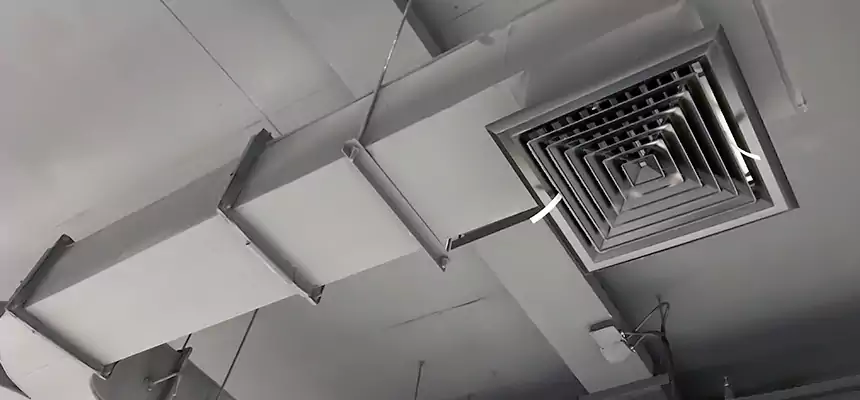 Restorative Allergy Relief Vent Cleaning – Coil, Blower & Housing Detail in Brunswick