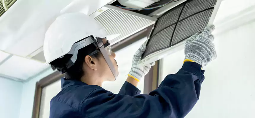 Our Mold & Mildew Removal from Air Ducts Services in Brunswick, GA