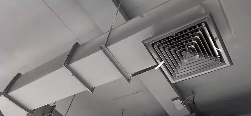 Our Pest Removal From Ducts Services in Brunswick, GA