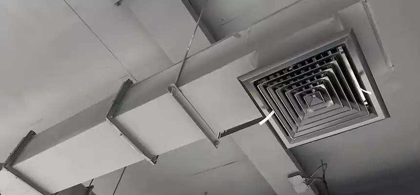 Our Rodent Droppings In Vents Services in Brunswick, GA