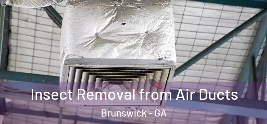  Insect Removal from Air Ducts Brunswick - GA