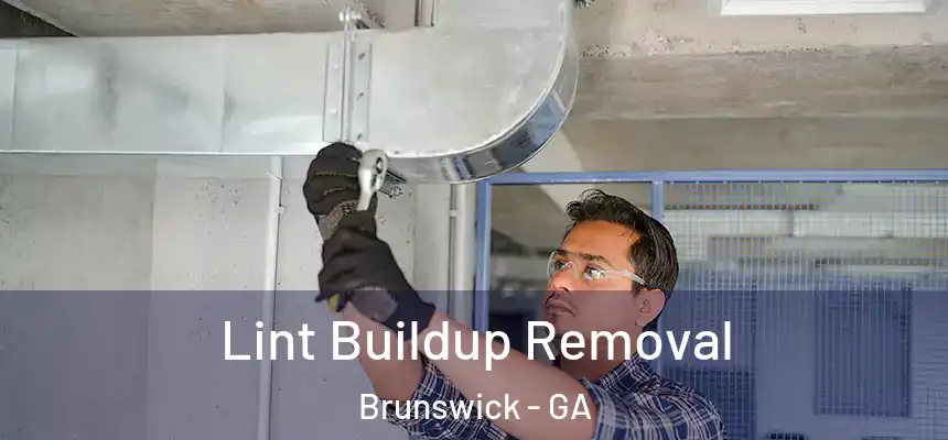  Lint Buildup Removal Brunswick - GA