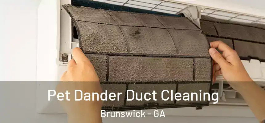 Pet Dander Duct Cleaning Brunswick - GA