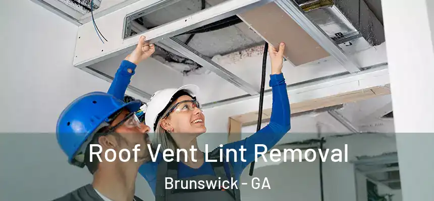  Roof Vent Lint Removal Brunswick - GA
