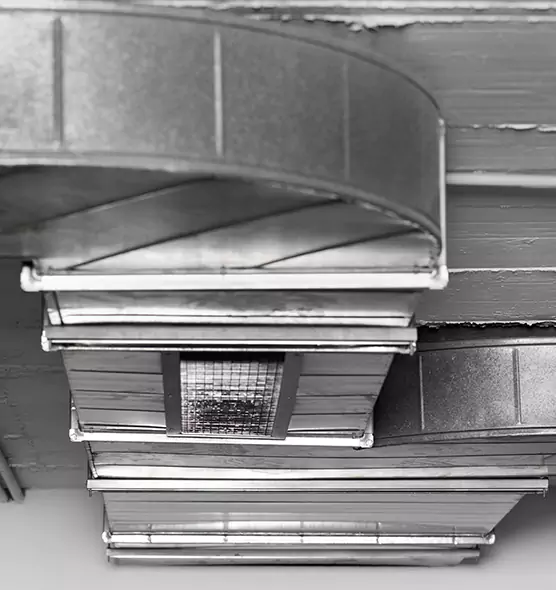 Professional Air Duct Pest Removal in Brunswick, GA