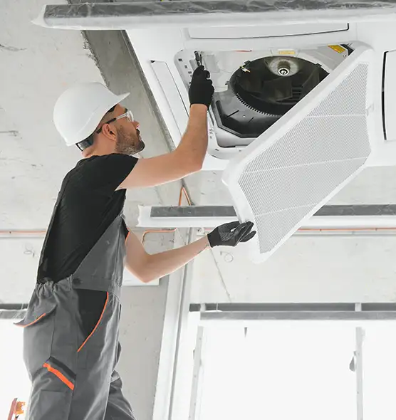 About Air Duct Rodent Removal in Brunswick, GA