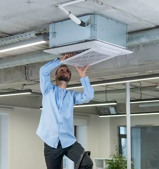 Advanced Rodent Droppings In Vents in Brunswick, GA