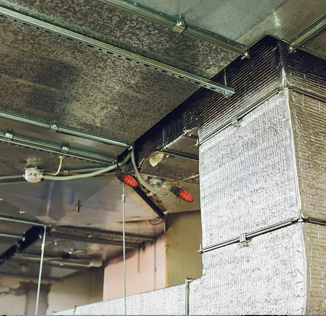 Why Homeowners & Businesses Trust Us in Brunswick, GA?