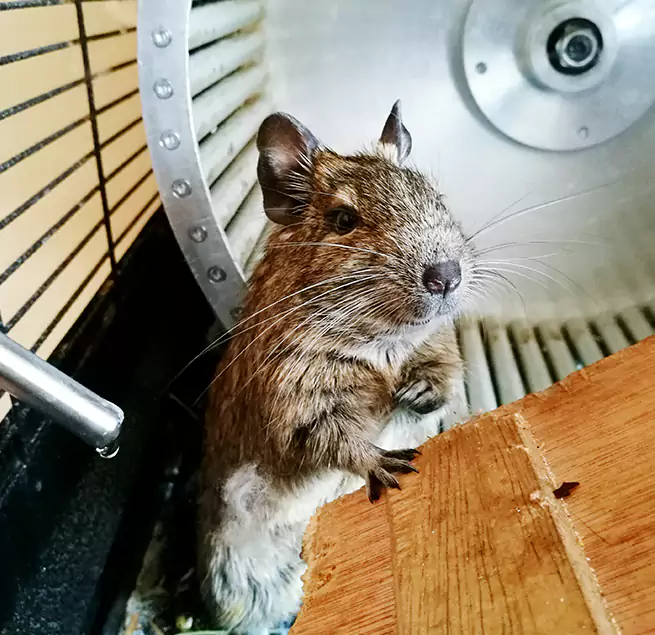 Why Homeowners & Businesses Trust Us Brunswick, GA?