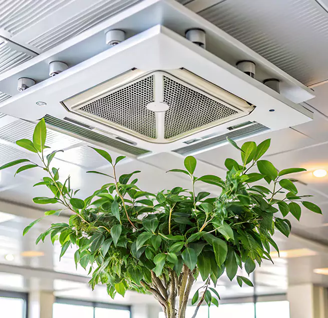 Why Homeowners & Businesses Trust Us in Brunswick, GA